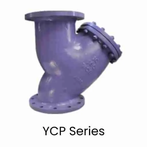 Y Strainers - Flometriq Filtration Solutions